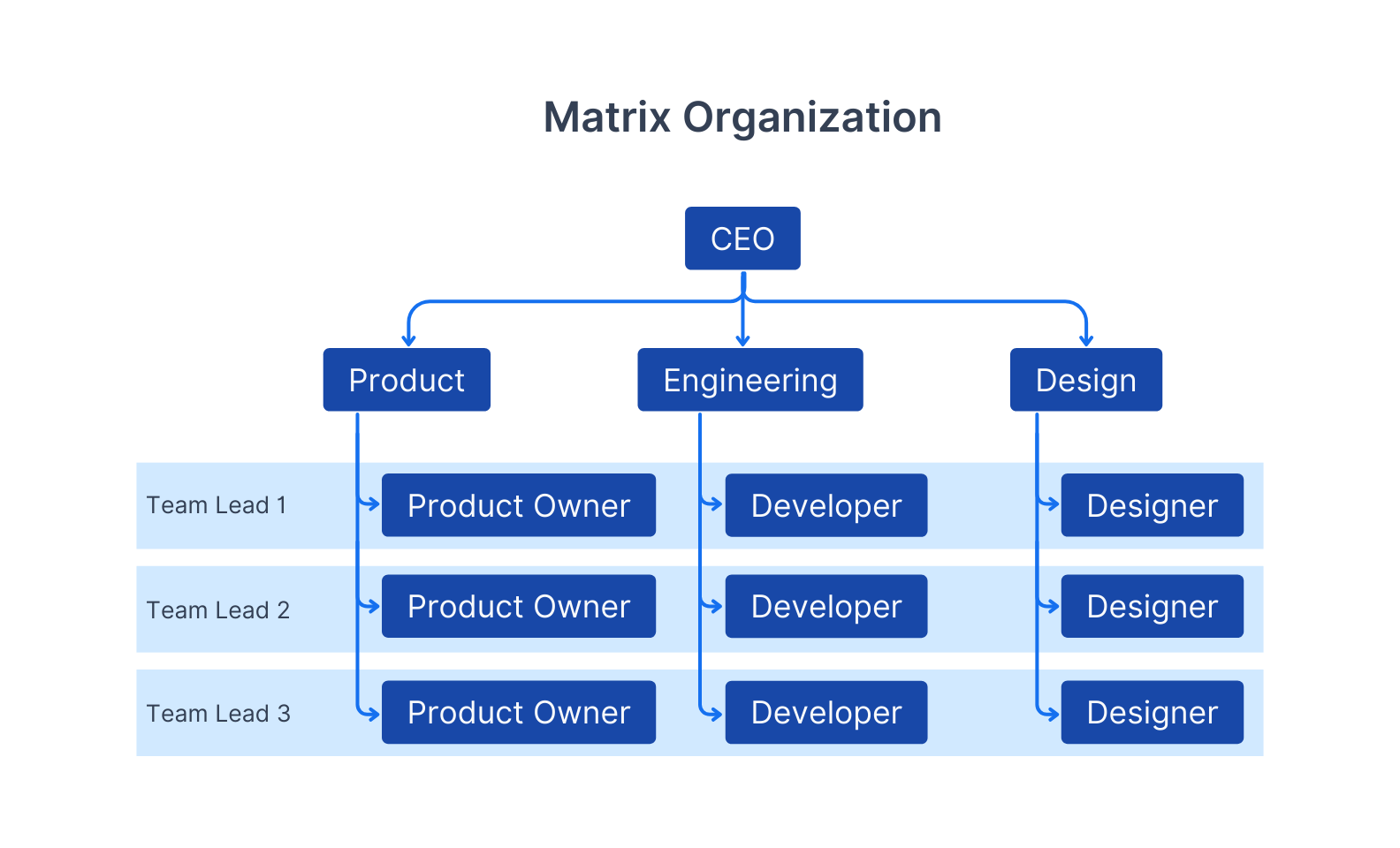 Matrix Organization structure diagram