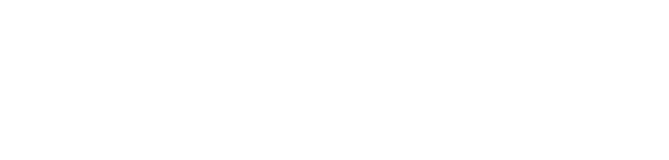 Nexapp logo blanc